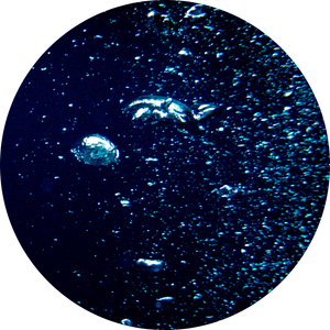 PSEUDOALTEROMONAS VULGARIS <br> FERMENT EXTRACT (PFE)